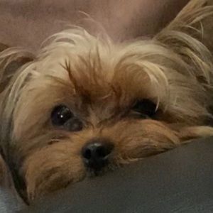 Meet your Posher, Estty